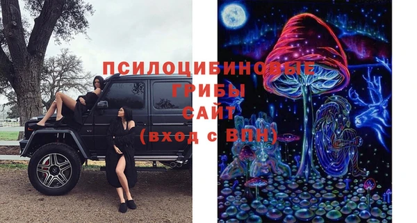 ALPHA PVP Новодвинск
