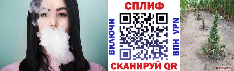 гидра ONION  Томилино  Бошки марихуана тримм  купить наркотик 